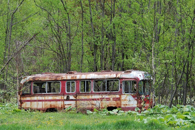d0105582_21465787.jpg