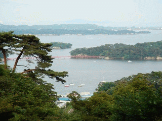 c0088584_1459411.gif