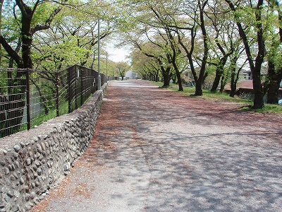 玉川上水緑道 ～羽村の堰－拝島_c0105785_9353624.jpg