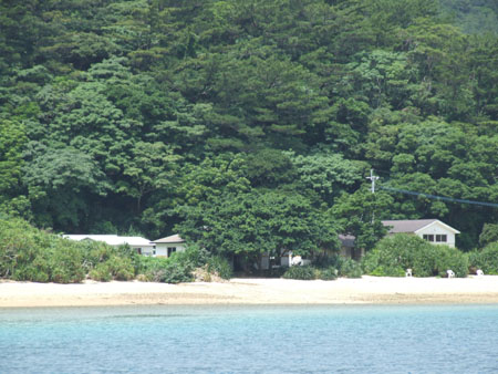 池地小中学校　チャレンジデー！_e0028387_23571879.jpg