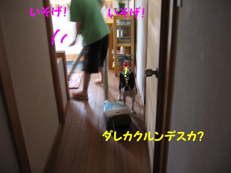 a0080889_02516.jpg