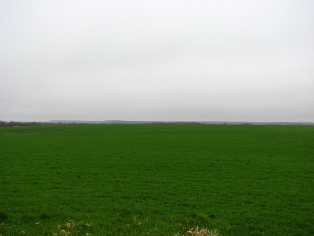 f0020302_23184477.jpg