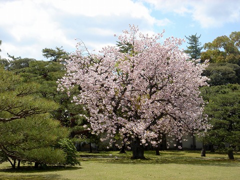 a0039307_23233233.jpg