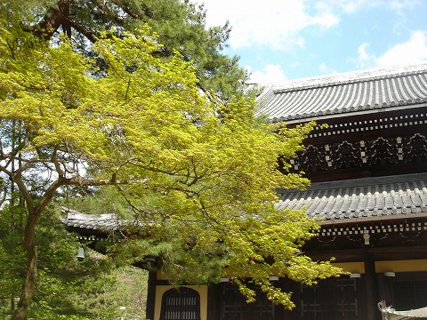 a0039307_23245446.jpg