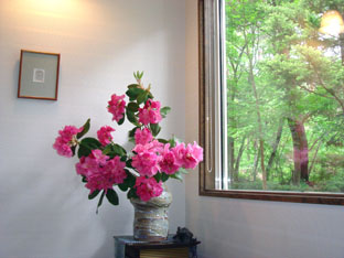 c0047814_17231011.jpg