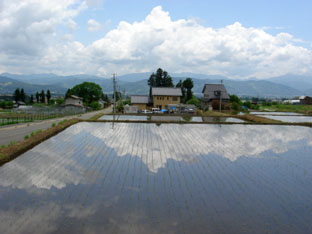 c0047814_17233711.jpg