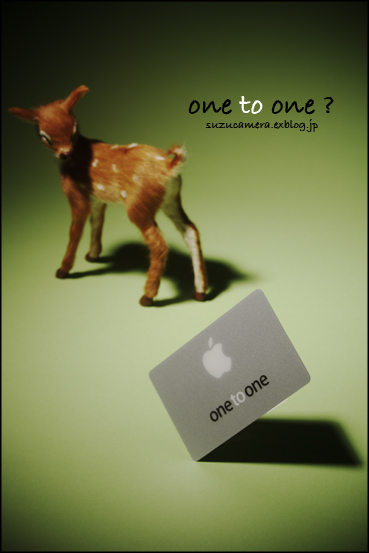 one to one_f0100215_1153021.jpg