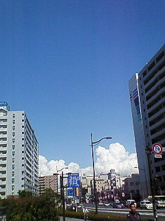 d0065116_19363871.jpg