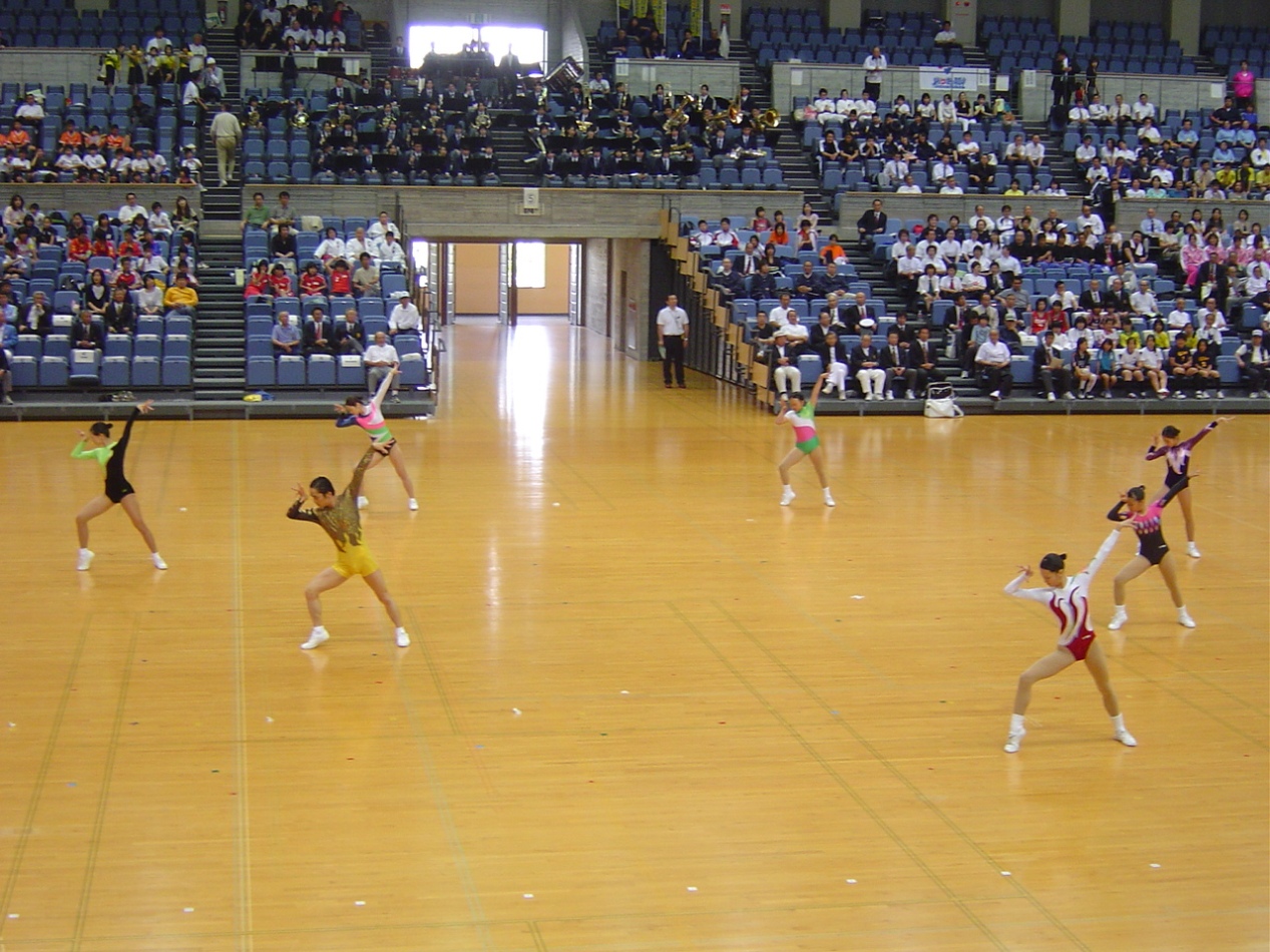県民のスポーツ大会合同総合開会式_f0138923_1435656.jpg