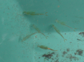 c0038424_827644.jpg