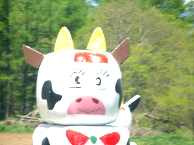 f0100825_2045768.jpg