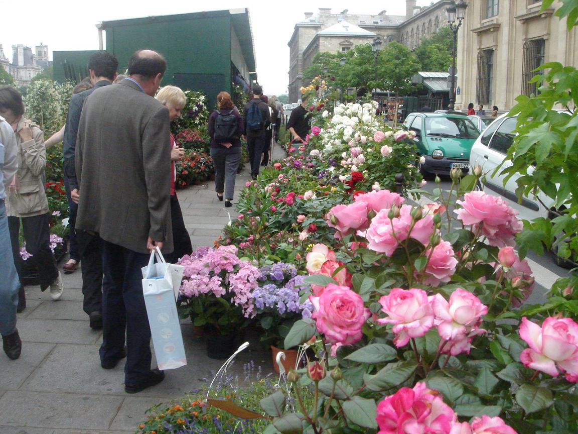 休暇～PARIS・番外編～_f0132327_3243218.jpg