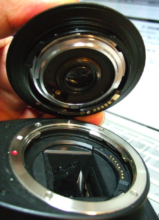 Original Voigtlander Skoparex 35mm/f3.4 with Kiss D N Original Voigtlander Skoparex 35mm/f3.4 with Kiss D N