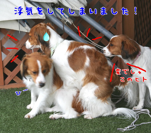 d0013149_014727.jpg