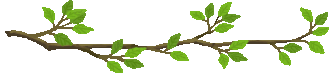 殯の森_a0089450_0153999.gif