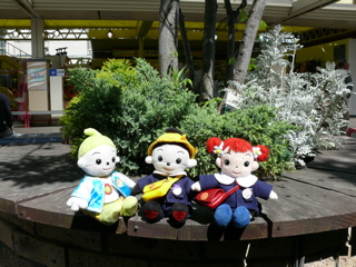 f0050651_18343280.jpg