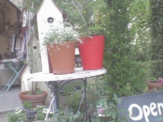 f0101592_9836.jpg