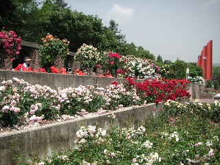 c0108693_20202171.jpg