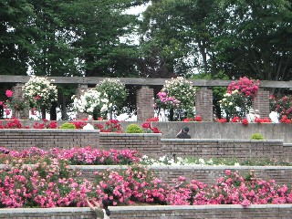 c0108693_20204023.jpg