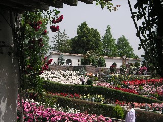 c0108693_20213083.jpg