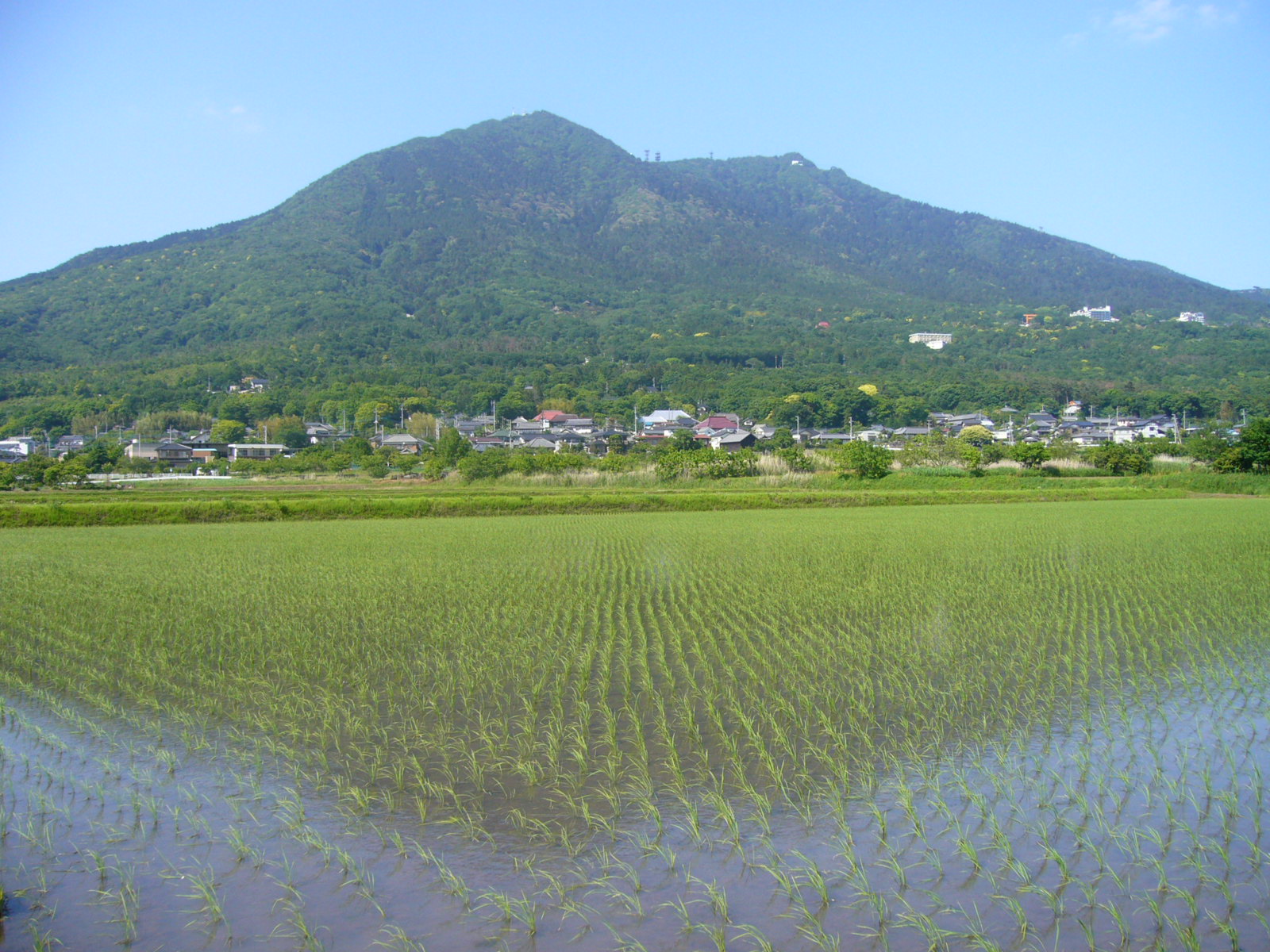 夏休み日記♪_d0091994_20472736.jpg