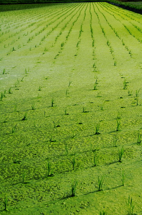 f0032011_22315488.jpg