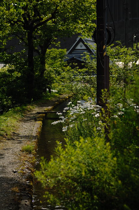 f0032011_2231557.jpg