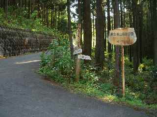 c0051112_15432726.jpg