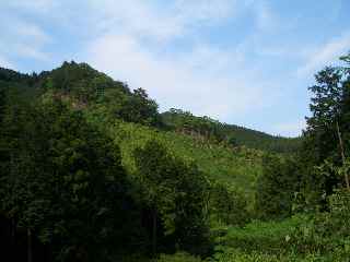 c0051112_15452065.jpg