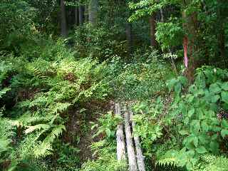 c0051112_15455771.jpg