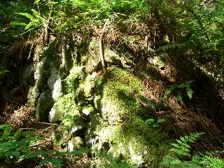 c0051112_15461163.jpg