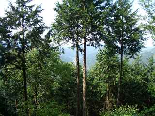 c0051112_15471382.jpg