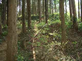 c0051112_15473696.jpg
