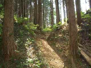 c0051112_1548359.jpg