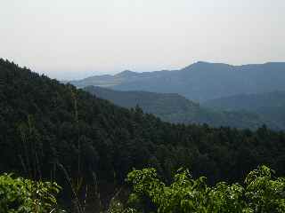 c0051112_15494585.jpg