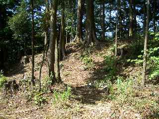 c0051112_15502646.jpg