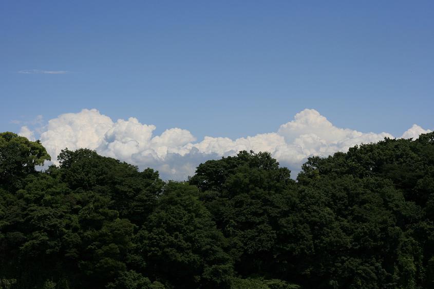 b0083431_950789.jpg