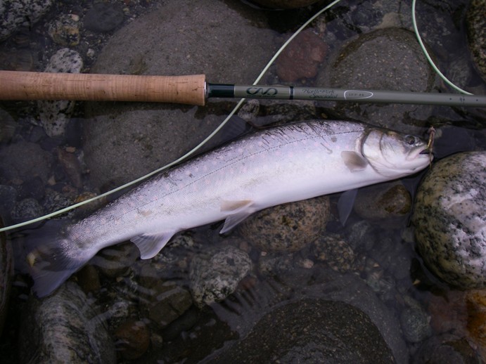 f0084544_1432487.jpg