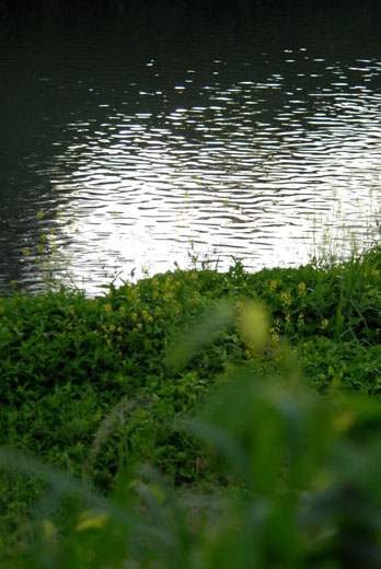 c0093046_5501873.jpg