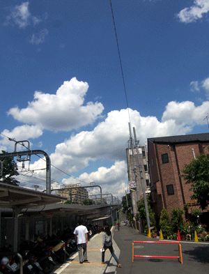 b0037160_16462312.gif