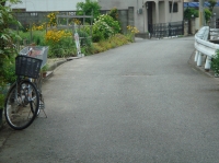 c0108460_22363672.jpg