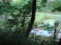 c0108460_23485349.jpg