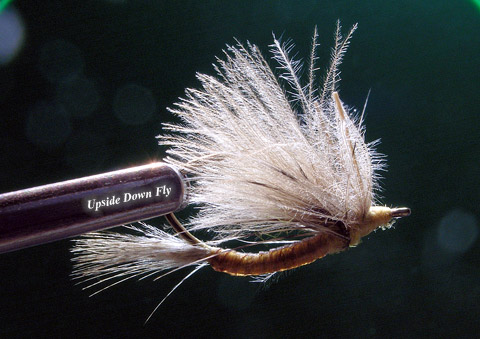 フライ　毛鉤 △Upside Down Flies : 一から出直し修業的毛鉤釣