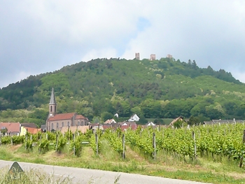 f0036481_6125219.jpg