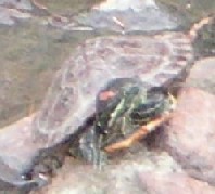 c0108693_22344152.jpg