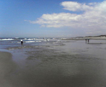 d0071596_2045059.jpg