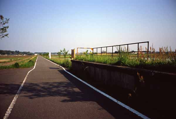 f0062398_2002072.jpg