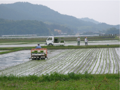 犀川米の買出しへ_c0036203_1917624.jpg