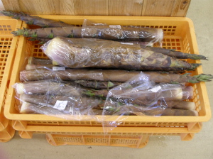 犀川米の買出しへ_c0036203_1923345.jpg