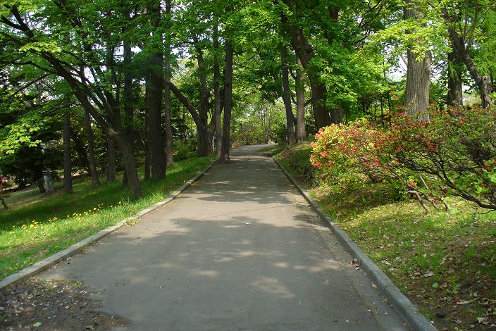 小樽公園散策・・・（市の花・ツツジ見物）_a0100204_2228678.jpg